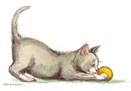 Øremider hos kat
