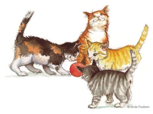 4 katte med en bold