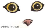 Store katte øjne
