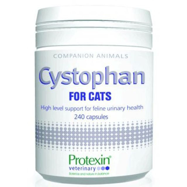 svag fløjl Belønning Cystophan til kat 240 kapsler - Netdyrlæge