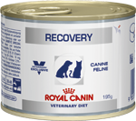 RC Recovery Dog/Cat 195g