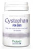 cystophan-til-katte