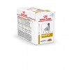 vhn-812011-urinary_so_dog_sig_pouch-pbox_closed_packshot_low_res.___web_75545