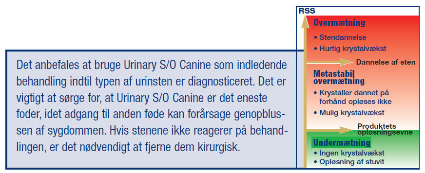 Hund Royal Canin Urinary S/O