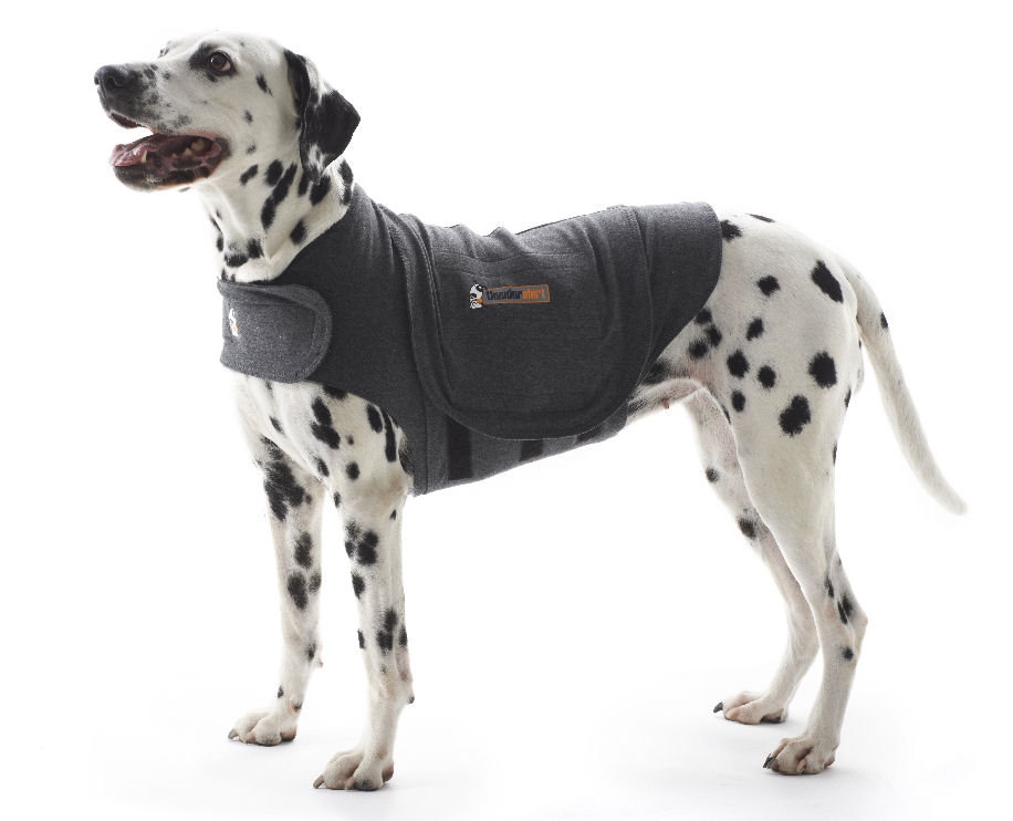 Hund Thundershirt